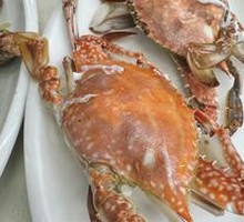 Spider Crab
