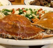Spider Crab