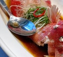 Boiling Dongxing Sea Bass