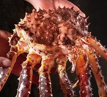 Live King Crab