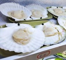 Scallop