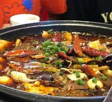 Maoxuewang