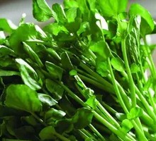 Watercress