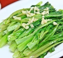 Oilseed lettuce