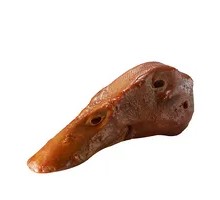 Black Duck Head
