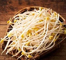 Well Water Bean Sprouts