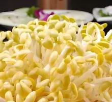 Mung Bean Sprouts