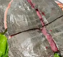 Eco Turtle Shell