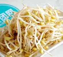 Bean sprouts