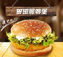 Crispy Garden Chicken Burger