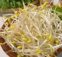 Bean sprouts