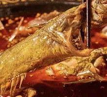 Fresh Yellow Catfish