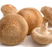 Shiitake Mushroom