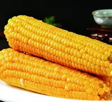 Corn Sausage