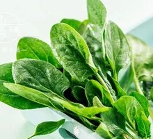 Spinach