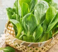 Baby Bok Choy