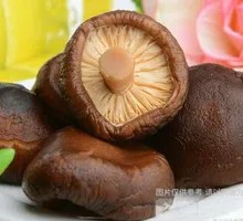 Shiitake Mushroom