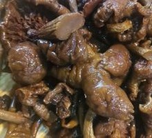 Wild Premium Mushroom
