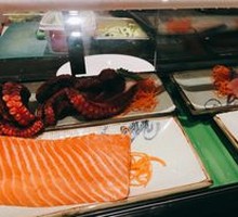 Salmon
