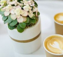 Australian White