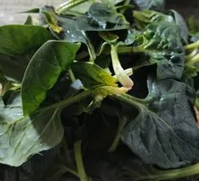 Spinach