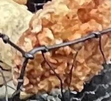 Sweet Potato Fritter