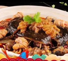 Softshell Turtle with Bull Penis Stew