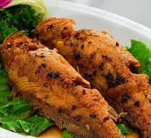 Yellow Croaker