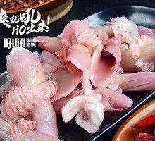 Enthusiastic Squid Flowers