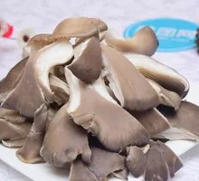 Enoki Mushroom