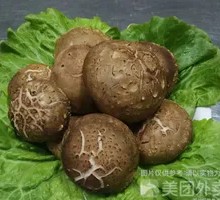 Shiitake Mushroom