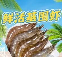 Live King Prawn