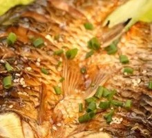 Crucian Carp