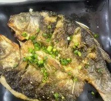 Freshly Caught Crucian Carp