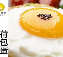 Soft-boiled Egg