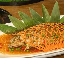 Embryo Guilin Carp