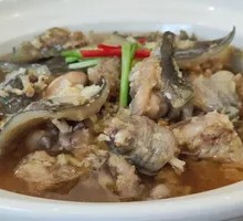 Steamed Softshell Turtle