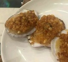 Scallop