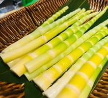 Panda Bamboo Shoot