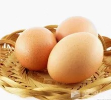 Egg