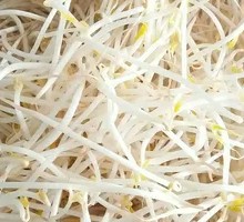 Mung Bean Sprouts