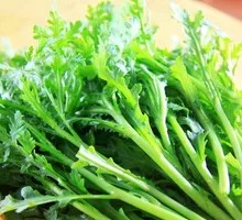 Chinese chrysanthemum greens