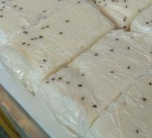 Fermented rice cake