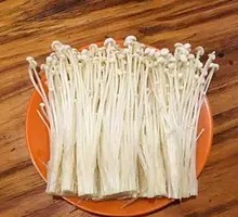 Enoki Mushroom