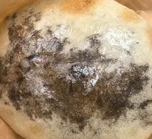 Red Bean Flatbread