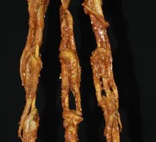 Squid Tentacles