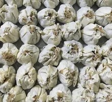 Fresh Pork and Mushroom Dumplings