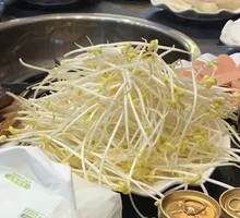 Well Water Bean Sprouts