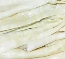 Bamboo Shoot