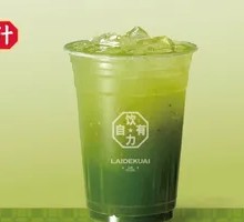 Kale Vegetable Juice